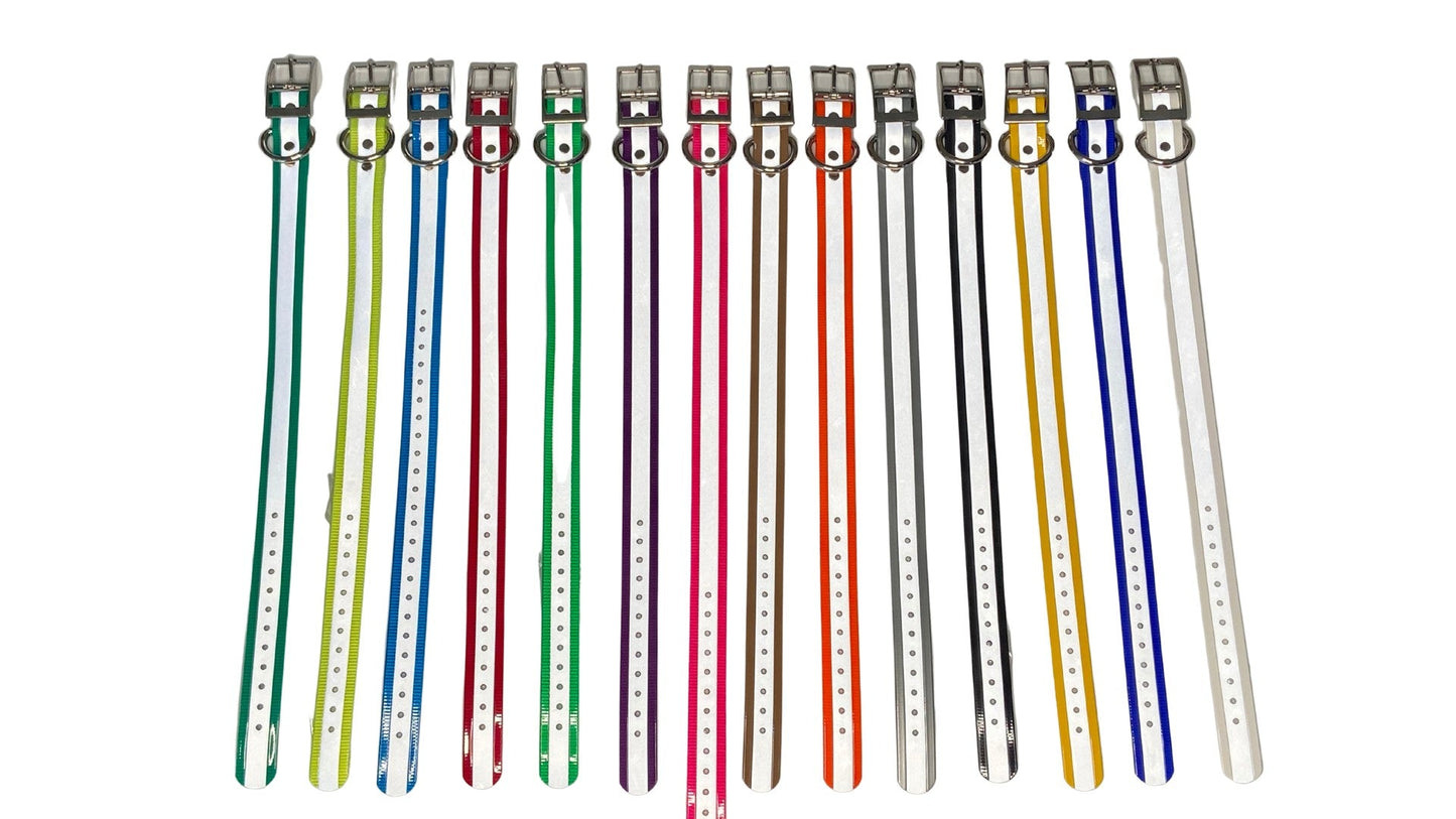 3/4'' Dayglo Collars w/D-Ring (Reflective)