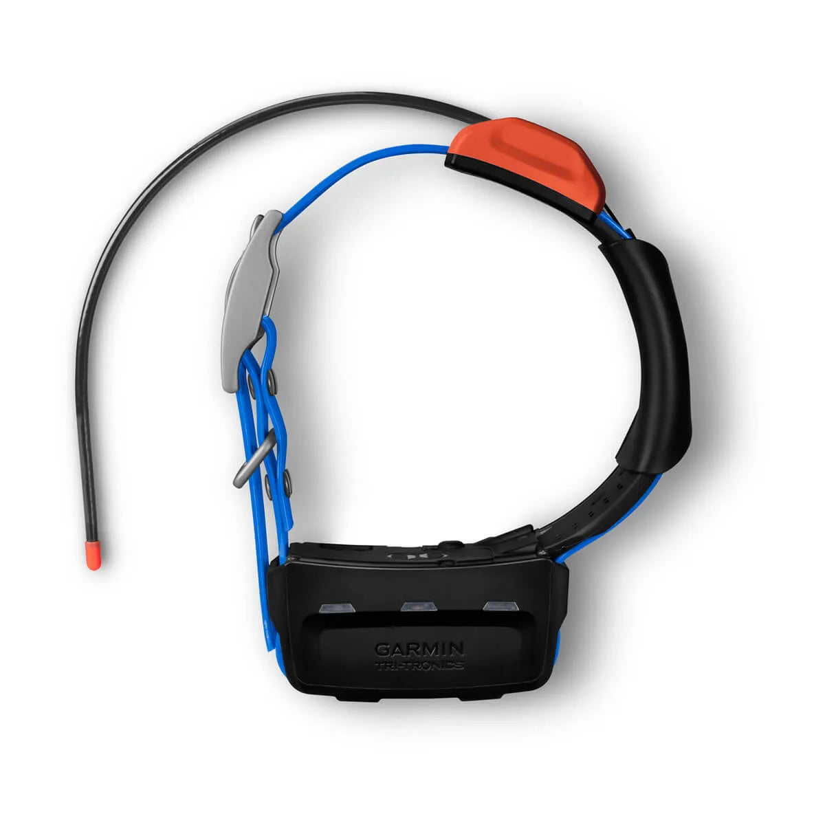 TT 5X Dog Collar