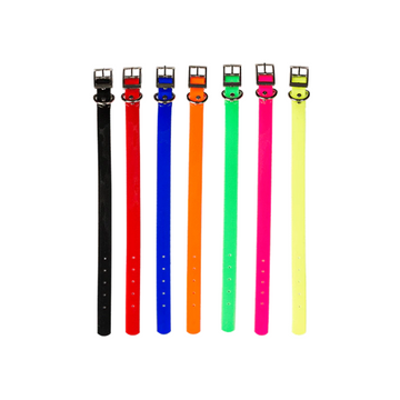 1'' Dayglo Collars w/Dee Ring