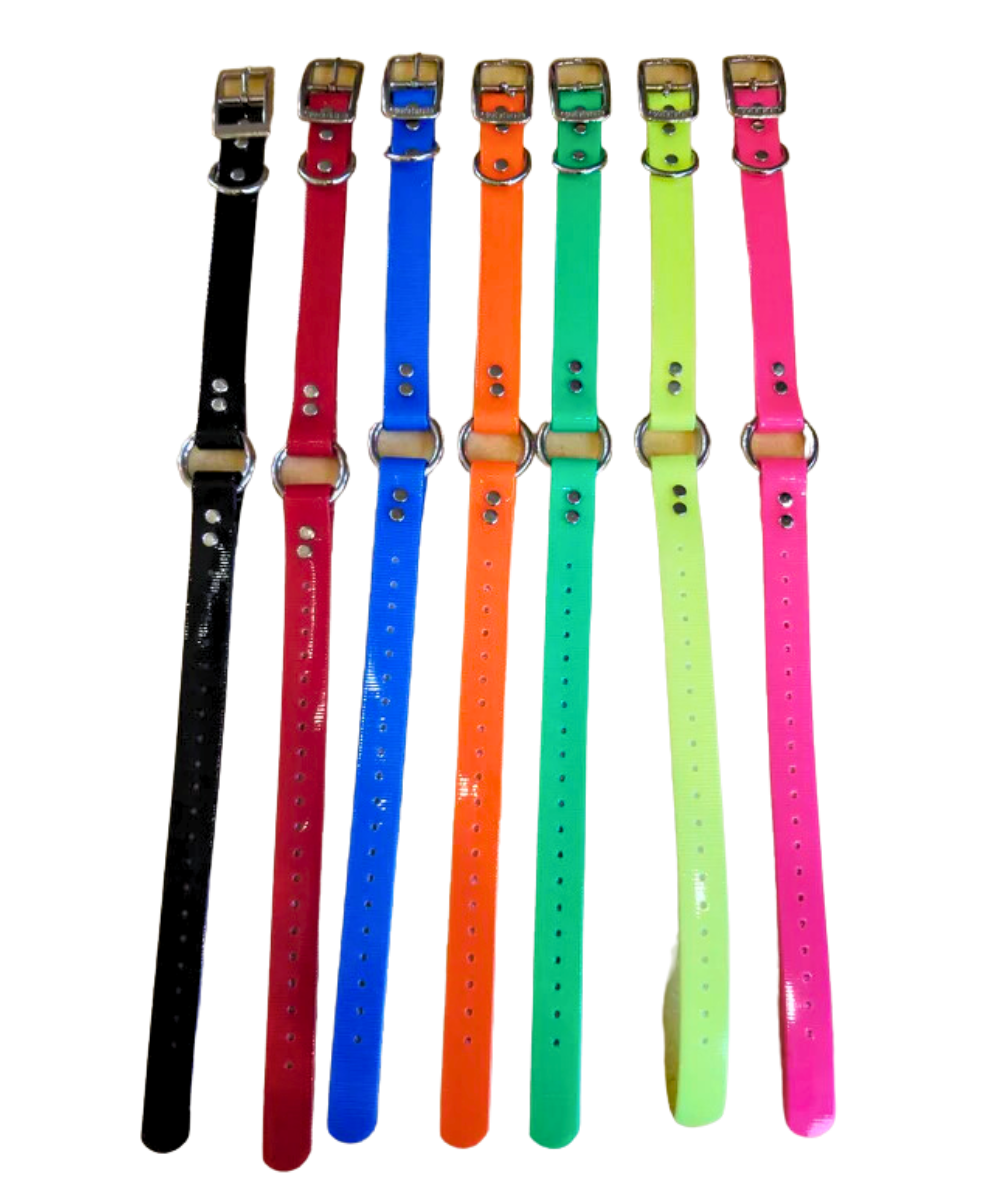 1'' Dayglo Collars w/O-Ring (Non-Reflective)