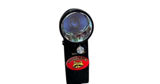 BRIGHT EYES HANDHELDS SPOT LIGHT